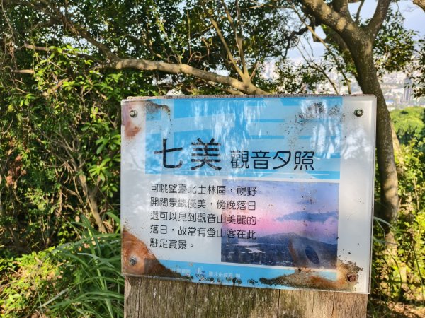 [百山百鳥尋旅-14/15] 2025_0929 劍潭山親山步道2900903