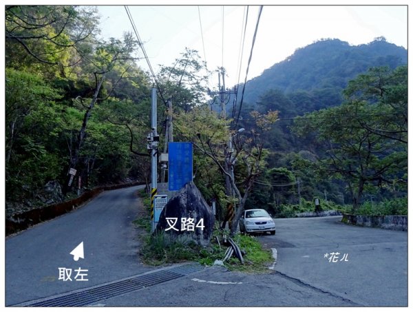 唐麻丹山/裡冷步道868347