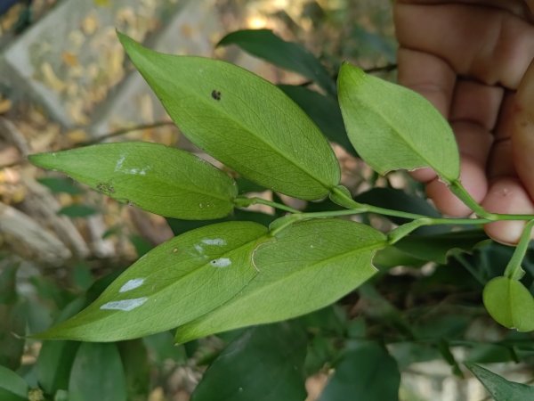 塘湖古道塘湖山甕缸潭2454275