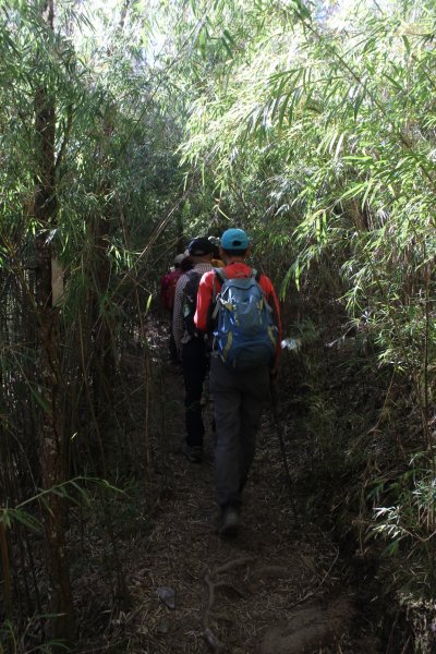 20211120南投郡大山1525102