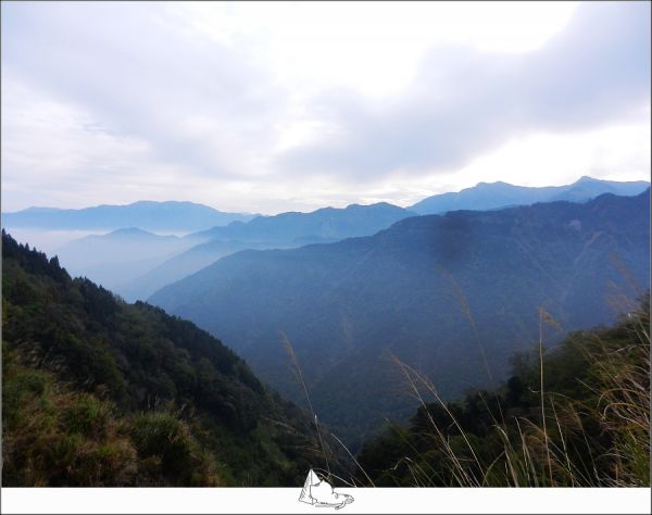 林間散步，特富野古道312513