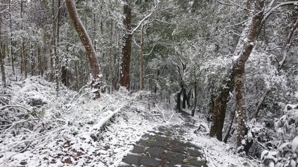 大旗棟古道踩雪行29891