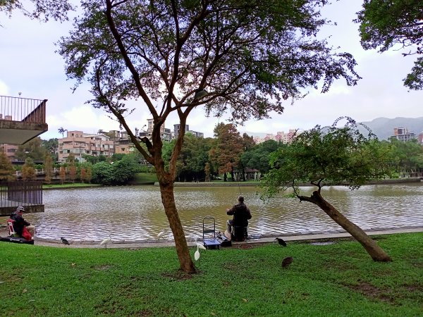 大溝溪生態治水園區、大湖公園 (防災公園) 【走路趣尋寶】1898065