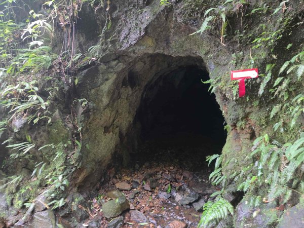 20260827圓柳古道-茄苳坑採金古道3114756