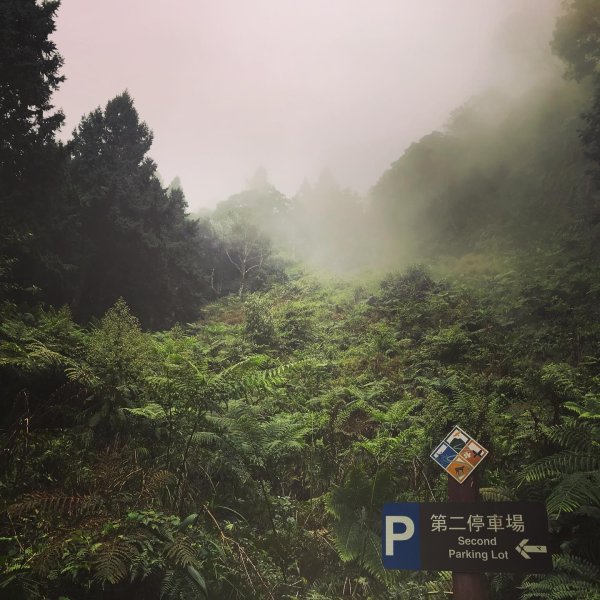 北大武山3116476