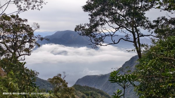 114.11.28-29 雙龍林道~巒安堂~西巒大山2954846