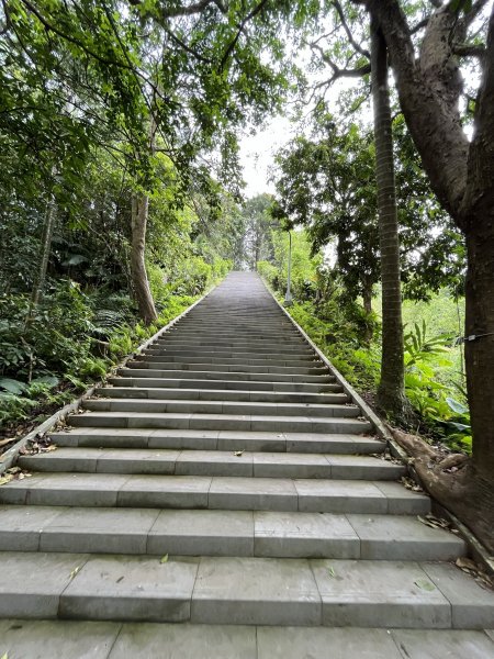 台北大縱走第七段1666224