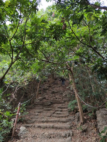 2023.12.24 高雄壽山2835324