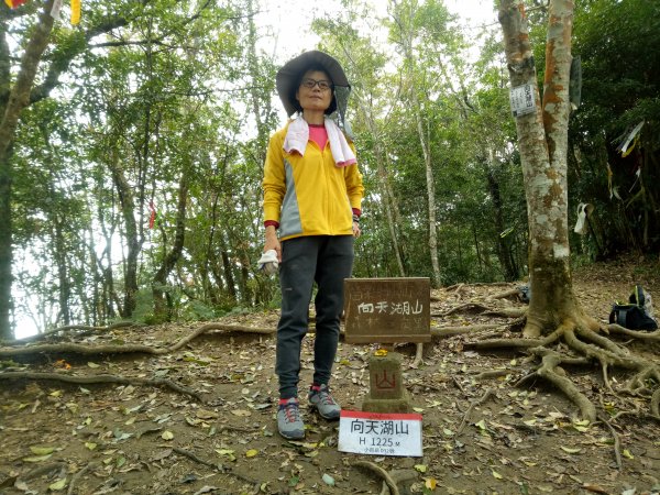 三角湖山向天湖山光天高山O形1911613