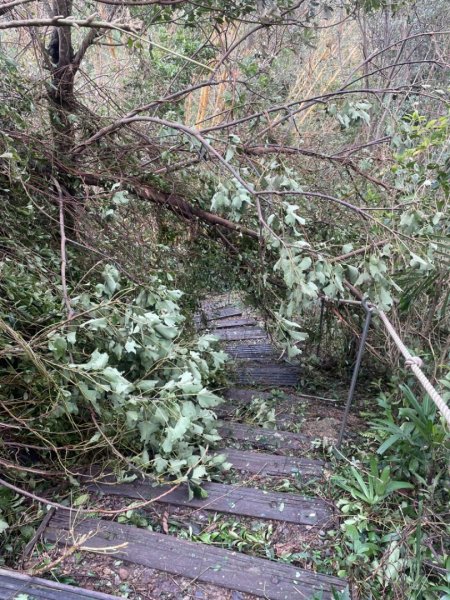 災後紅河谷越嶺小獅山仙跡岩觀音山路況2641460