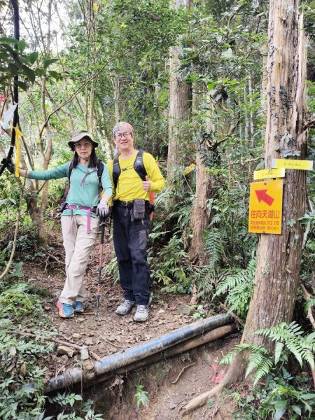 向天湖山11501252988128