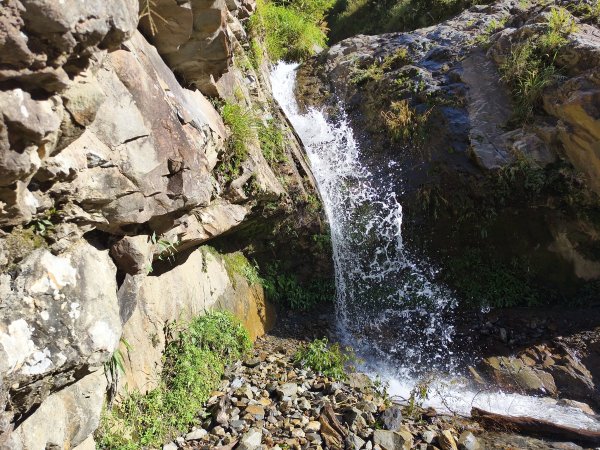 [玉山尋寶任務-07/12] 2025_0824 八通關雲龍瀑布步道2870650