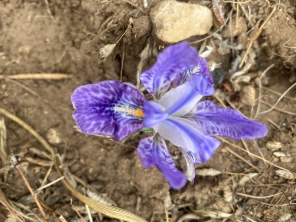 尼泊爾聖母峰EBC基地營❤️風景篇2791067