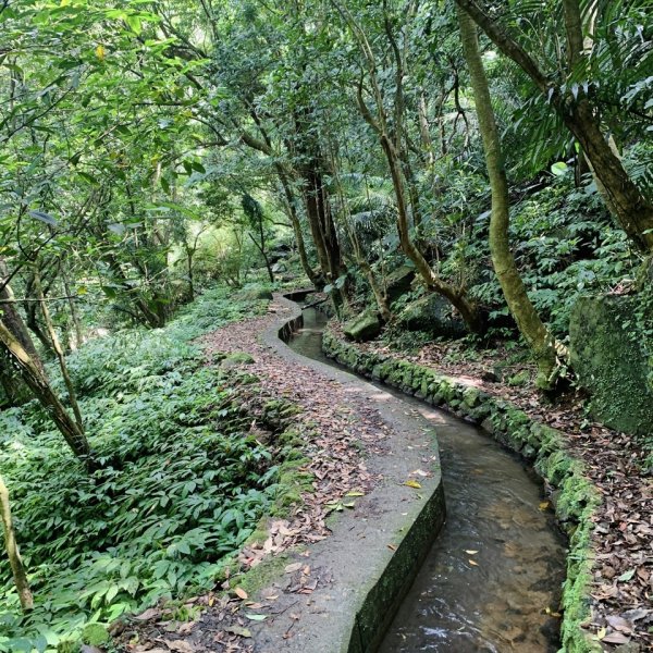 坪頂古圳親山步道1690071