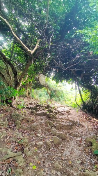 柴山之美~2934554