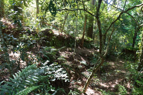 【秀巒-芝生毛台山】砲台遺址1030522