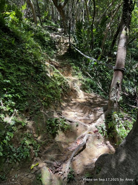 微笑山線【五分山系】菁桐煤礦段＋平溪小黃山段2906712
