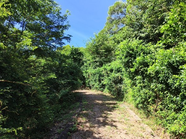 [漫遊縱谷 愛在花東-01/10] 2025_1011 大武觀海步道2912918