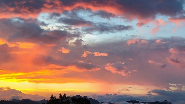 【阿里山私房景點】塔塔加夕陽下的彩霞691631
