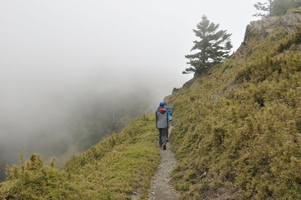 玉山西峰、主峰385932