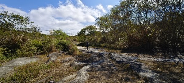 2026/01/01_大安溪峽谷步道2978129