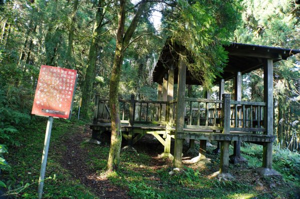 桃園-三峽 志繼山、東眼山、拉卡山、卡外山3005181