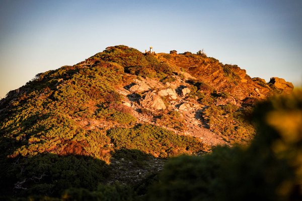 帝王之座-南湖主峰線｜南湖大山＋南湖南峰＋巴巴山2884946