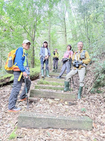 船型山神木悠遊    2025.09.222893808