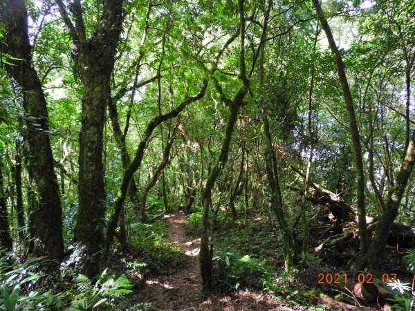 臺東 東河 都蘭山1262090