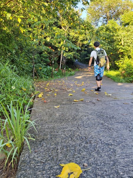新竹文山步道健走3086826