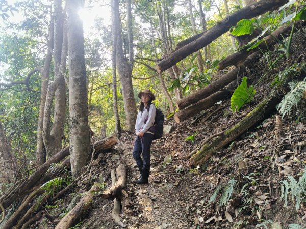 鳥東洗縱走11503213023080