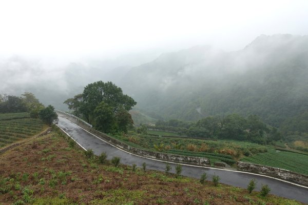 南山寺觀景台3086080