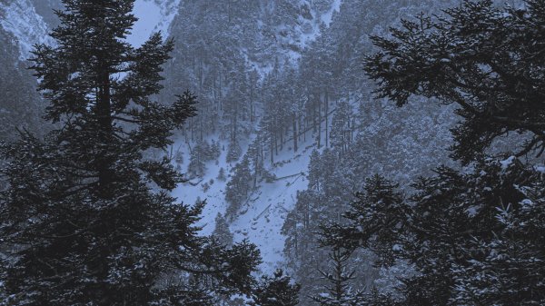 Mt.Jade -玉山冬雪915189