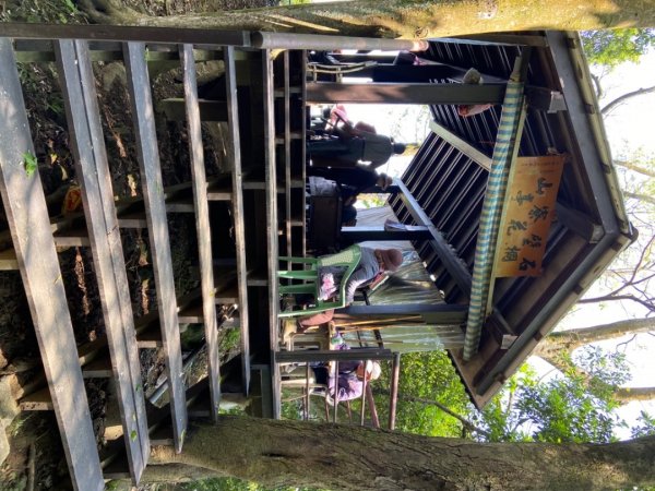 土城天上山O路線桐花季917198