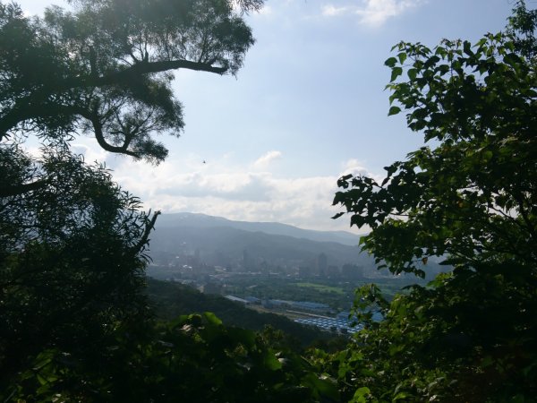 關渡、忠義山親山步道607630