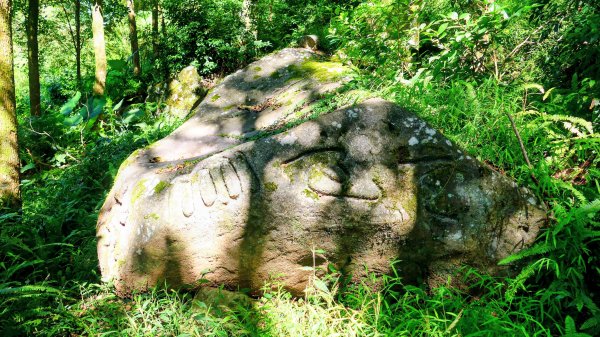 陽明山16草原之西線8草原2904058