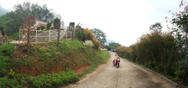 勿洞馬共友誼村地道、文物館、萬花園2487541