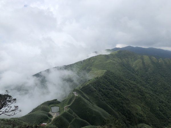 【宜蘭礁溪】抹茶山~超消暑聖母登山步道640598