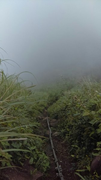 黃金一稜（基隆山小百岳，雷霆峰）566948