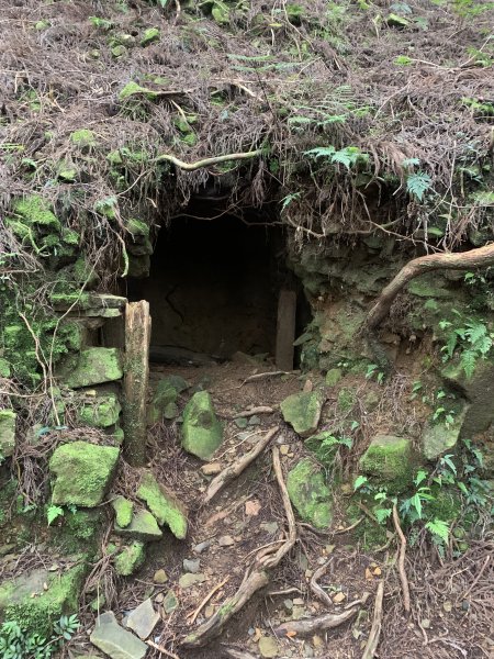 20250517義義兒玉山-東水山2791726