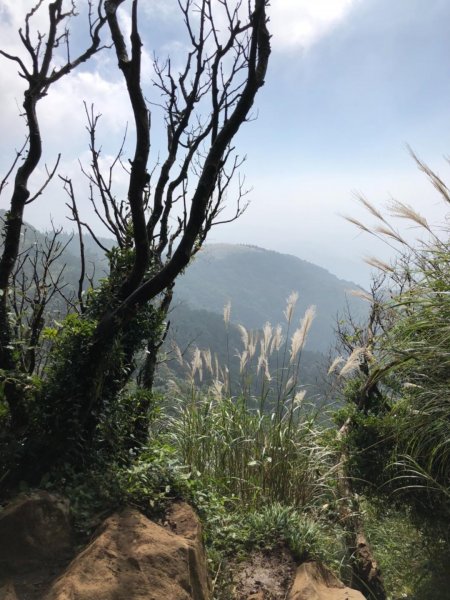 大屯山西峰542106