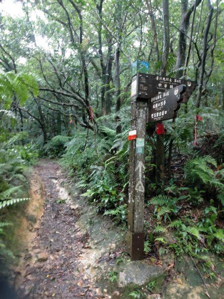 壹北大縱走第四段：風櫃嘴至大湖公園2809587