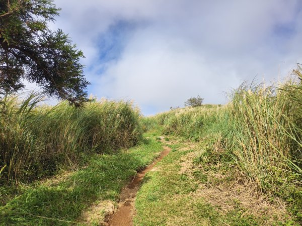 [百山百鳥尋旅-11/15] 2025_0927 大屯主峰-連峰步道_大屯山南峰2899368