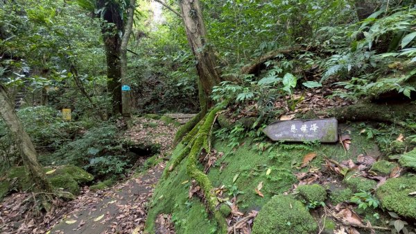 孝子山步道 (慈母峰+普陀山)2773602