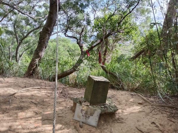 造橋鄉口山步道(老庄山+菜瓜窩山+造橋口山)2933701