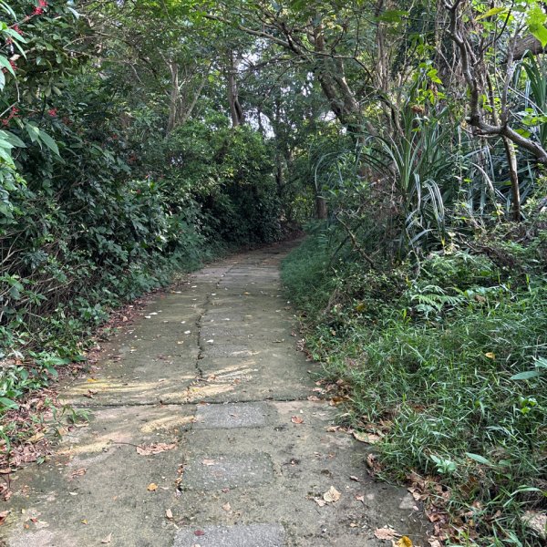 劍潭山+老地方觀機平台2922610