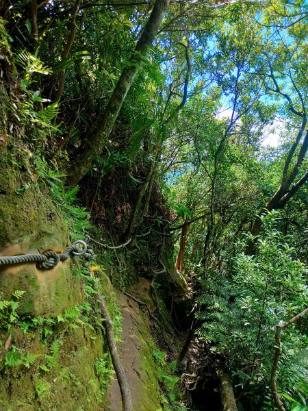 二格山、筆架山南北峰、炙子頭山2164335