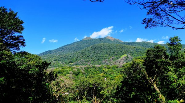 經營時間的早餐店2993561