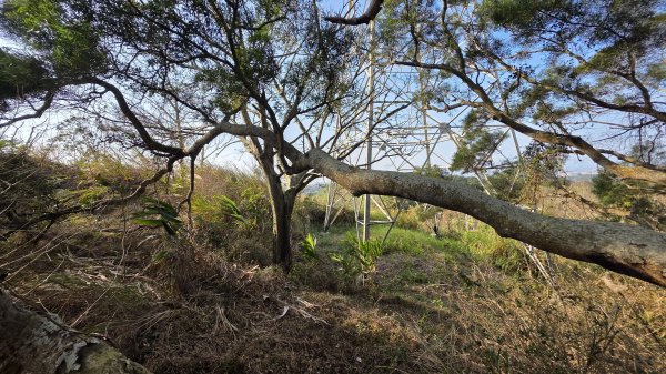 四角坪道、羊寮坑道3002330