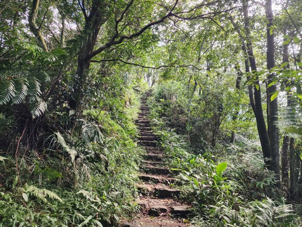 小百岳No.17⛰二格山2895579